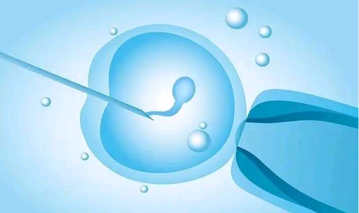温州找供卵试管多少钱 温州有做三代试管婴儿的吗 ‘怀孕12周男宝宝b超图片’